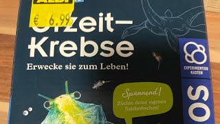 Urzeit Krebse züchten [upl. by Gibert]