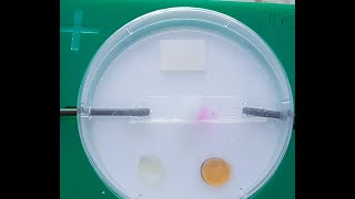 The Microelectrolysis of Sodium Chloride solution [upl. by Antoni]