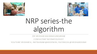 Neonatal resuscitation program NRP series The algorithm Dr Sridhar Kalyanasundaram [upl. by Attelrahc12]