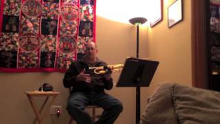 Jon Ruff on Stomvi Flex Trumpet Mouthpieces [upl. by Idnarb]