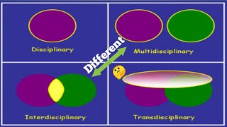 Multidisciplinary Vs Interdisciplinary Approach geography [upl. by Aneelak]