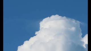 Watch how the growing cumulus overtakes a Pileus Cloud [upl. by Newbill42]