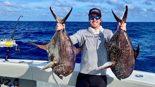 Double POMFRET from 1500 Jamaican Mikes Fish Sandwich Catch Clean Cook [upl. by Meri959]