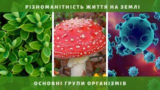 РІЗНОМАНІТНІСТЬ ЖИТТЯ НА ЗЕМЛІ  6 клас [upl. by Ahders702]