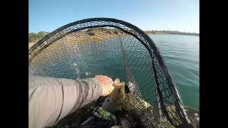 Float Tube Bass Fishing Oct 19th Part 2 [upl. by Vtehsta]