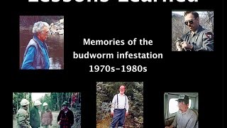 Lessons Learned Memories of the Maine budworm infestation 1970s1980s [upl. by Euqinoj867]