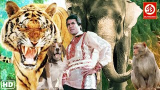 Rajesh Khanna HD New Blockbuster Full Hindi Bollywood Film Love Story Film  Haathi Mere Saathi [upl. by Ethelinda515]