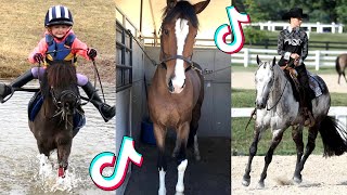 The Best HORSE TikTok Compilation 187 [upl. by Nnybor]