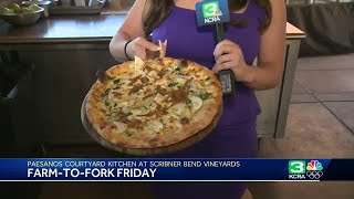 FarmtoFork Friday Pear woodfire pizza at Scribner Bend Vineyards courtyard [upl. by Leugar]