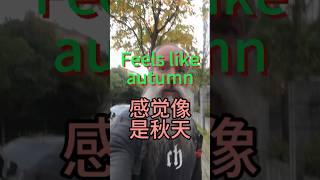 Feels like autumn  感觉像是秋天 [upl. by Gnilrad]