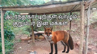 Hidden village சேம்புக்கரை குறும்பர் கிராமம்tribes wild [upl. by Kcub]