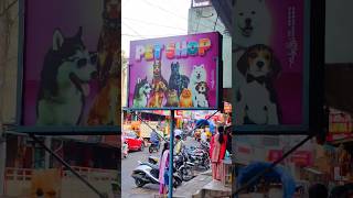 Dog food Drools minivlog bhimavaramvlogsbabbydogfood doglover bhimavaram pets simbasara [upl. by Merfe]