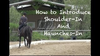 How to Introduce ShoulderIn and HaunchesIn [upl. by Acemahs104]