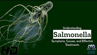 Salmonella Uncovered Symptoms Causes amp Cure [upl. by Roda755]