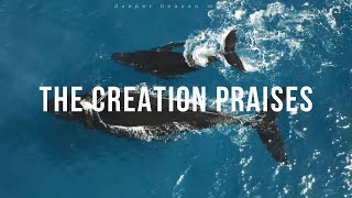 The Creation Praises  Spontaneous Instrumental 20  Fundo Musical Espontâneo [upl. by Dry]