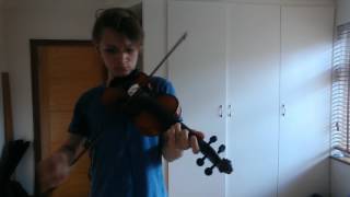 Ne Obliviscaris  And Plague Flowers the Kaleidoscope Violin Cover [upl. by Lisha925]