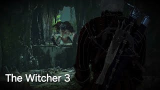 CADEIA ALIMENTAR  The Witcher 3 [upl. by Nwahsirhc]