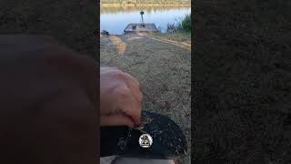 Problemi tecnici 😅 fishing carphunter carps lake carpfishinglife fish [upl. by Cello]