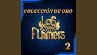 Flamazo De Los Flamers [upl. by Easter]