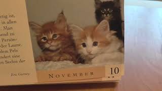 Das ist der beste Katzenkalender [upl. by Nirel]