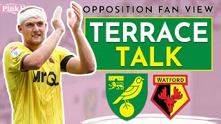 Terrace Talk  Norwich City vs Watford S6 Ep6  Fresh belief for Hornets fans under Tom Cleverley [upl. by Tammy]