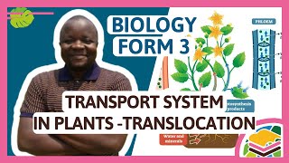 Transport system in plants Translocation  F3 Biology [upl. by Tawsha]