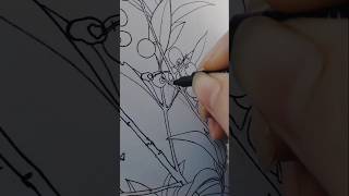 Ligustrum vulgare art botanicalart artist drawing sketch markers sketchbook natureart ink [upl. by Vergne]