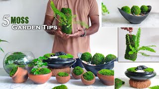 5 Easy Tips amp Ideas for Creating Moss Garden  Guide to Growing Moss GardenGREEN PLANTS [upl. by Atinhoj357]