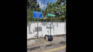 Penang beach stairway cleanup November 10th 2023 [upl. by Kalin142]