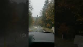 Malahat BC  Fall 2024 [upl. by Jurgen]