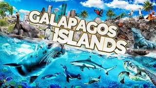 Zoo Tours NEW Galápagos Islands  Houston Zoo [upl. by Magdalen]