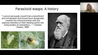 Beneficial Insect – Parasitoids [upl. by Icart639]