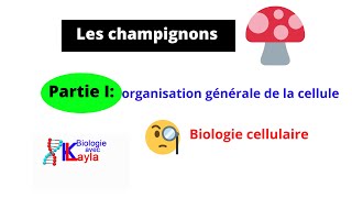 Les champignons [upl. by Aicenet278]