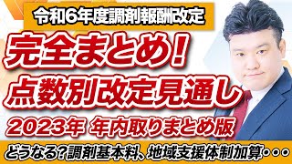 【調剤報酬改定2024】中医協議論 点数別解説 年内完全版！ [upl. by Twelve]