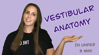 VESTIBULAR  Anatomy [upl. by Arie]