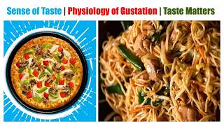 Anatomy amp Physiology 100 Sense of Taste  Sensory Organs  Physiology of Gustation [upl. by Boelter]