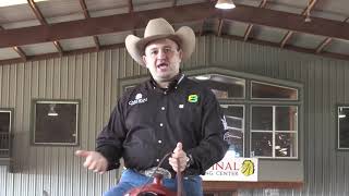 Franco Bertolani – Tips for Training a Deaf Horse [upl. by Janela801]