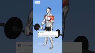 SHOULDERS exercises with barbell 🤩 [upl. by Zipah]