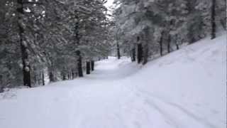 Cross Country Skiing at Mt Pinos California [upl. by Laise]