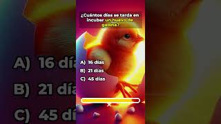 🔴¿CUANTO SABES DE CULTURA GENERAL 🟢 quiz Triviador trivia [upl. by Maharg897]