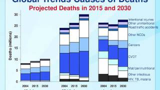 2 Overview of NCDs and Related Risk Factors  CPP NCD Epidemiology [upl. by Yenial]