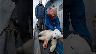 A heartfelt story about a little polar bear polarbearRessue arcticanimals giantfish 🐻‍❄️🐻‍❄️ [upl. by Cleary]