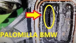 ¡CUIDADO con las PALOMILLAS en BMW diesel E60 X5 E39 E46 X3 E90 CHAPALETAS MARIPOSAS [upl. by Ziom]