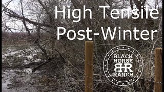 High Tensile Fence Review  First Spring [upl. by Wernda]