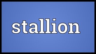 Stallion Meaning [upl. by Ignacius]