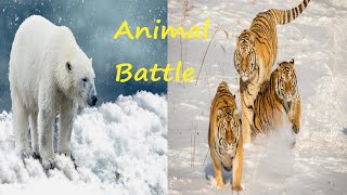 Animal revolt battle simulator [upl. by Eintruok]