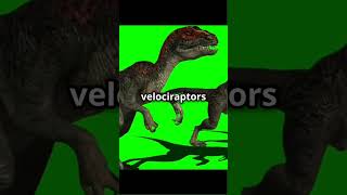 🦖 Velociraptors The True Story Behind ‘Jurassic Park’ Raptors facts animals dinosaurs myth [upl. by Erised333]