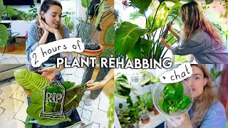 🔔 2 Hours Of Houseplant REHAB 🌱 Repotting Propagating Styling Rehabbing  Organising Plants [upl. by Ahsiad]