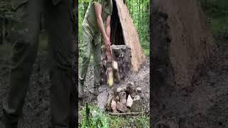 Building A Heartshaped Bushcraft Survival Shelter amp Fireplace With Clay Outdoor Cooking Overnight [upl. by Alodie]