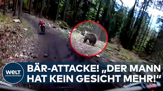 HORRORANGRIFF quotDer Mann hat kein Gesicht mehrquot Braunbär attackiert zwei Wanderer in Slowakei [upl. by Leakcim436]